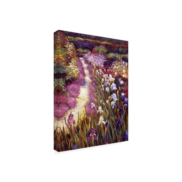 David Lloyd Glover 'Iris Garden Path' Canvas Art,14x19